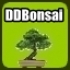 DDBonsai-Campo Limpo