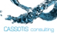 Cassotis Consulting